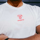 T-shirt "Tellem Basic" gray