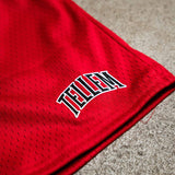 Mesh Shorts "Tellem Basic" Rot