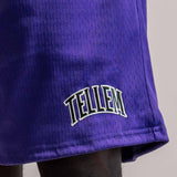 TELLEM Basketball Mesh Shorts Lila Logo