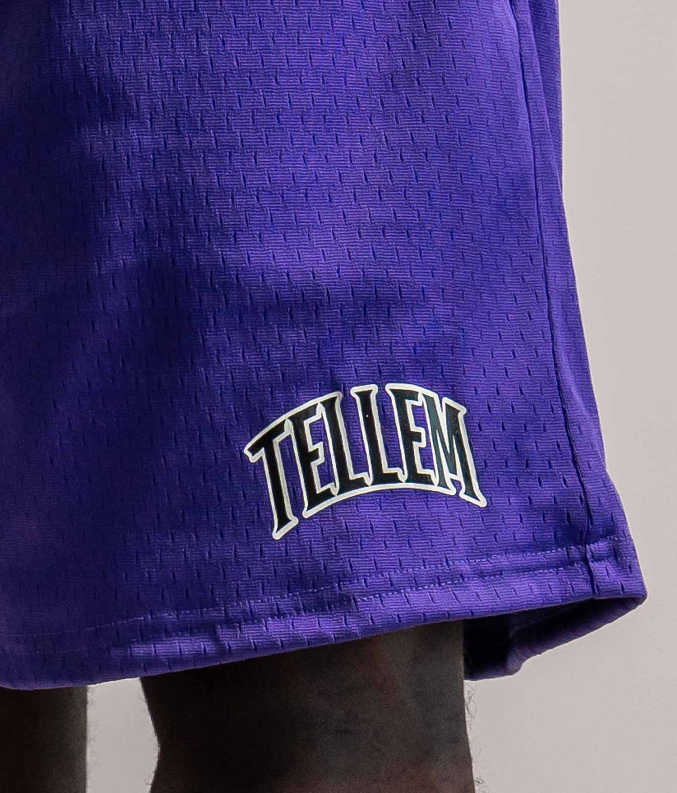 TELLEM Basketball Mesh Shorts Lila Logo