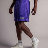 TELLEM Basketball Mesh Shorts Lila Model Tragebild