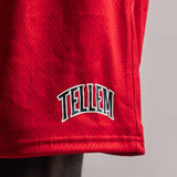 TELLEM Basketball Mesh Shorts Rot Logo