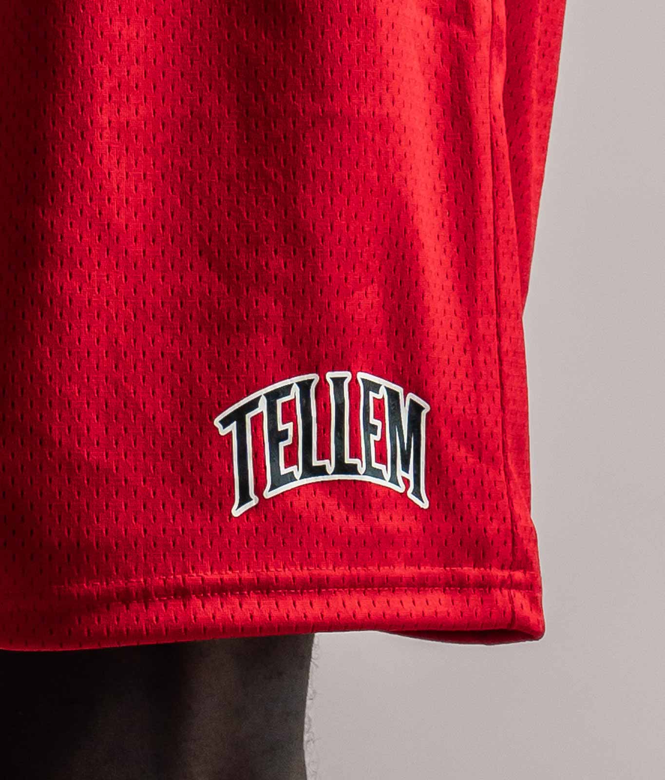 TELLEM Basketball Mesh Shorts Rot Logo