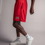 TELLEM Basketball Mesh Shorts Rot Model seitlich