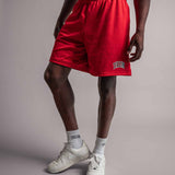 TELLEM Mesh Shorts Rot Model Tragebild