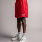 TELLEM Basketball Mesh Shorts Rot Seitenansicht